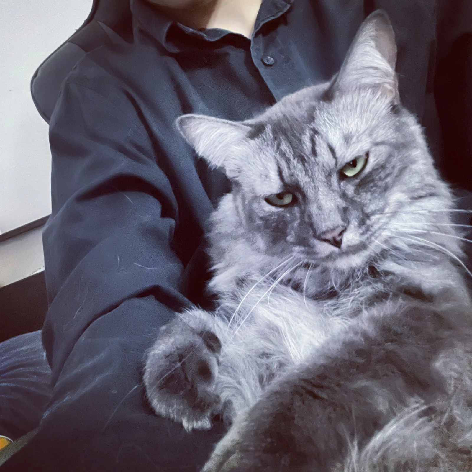 ぽんた